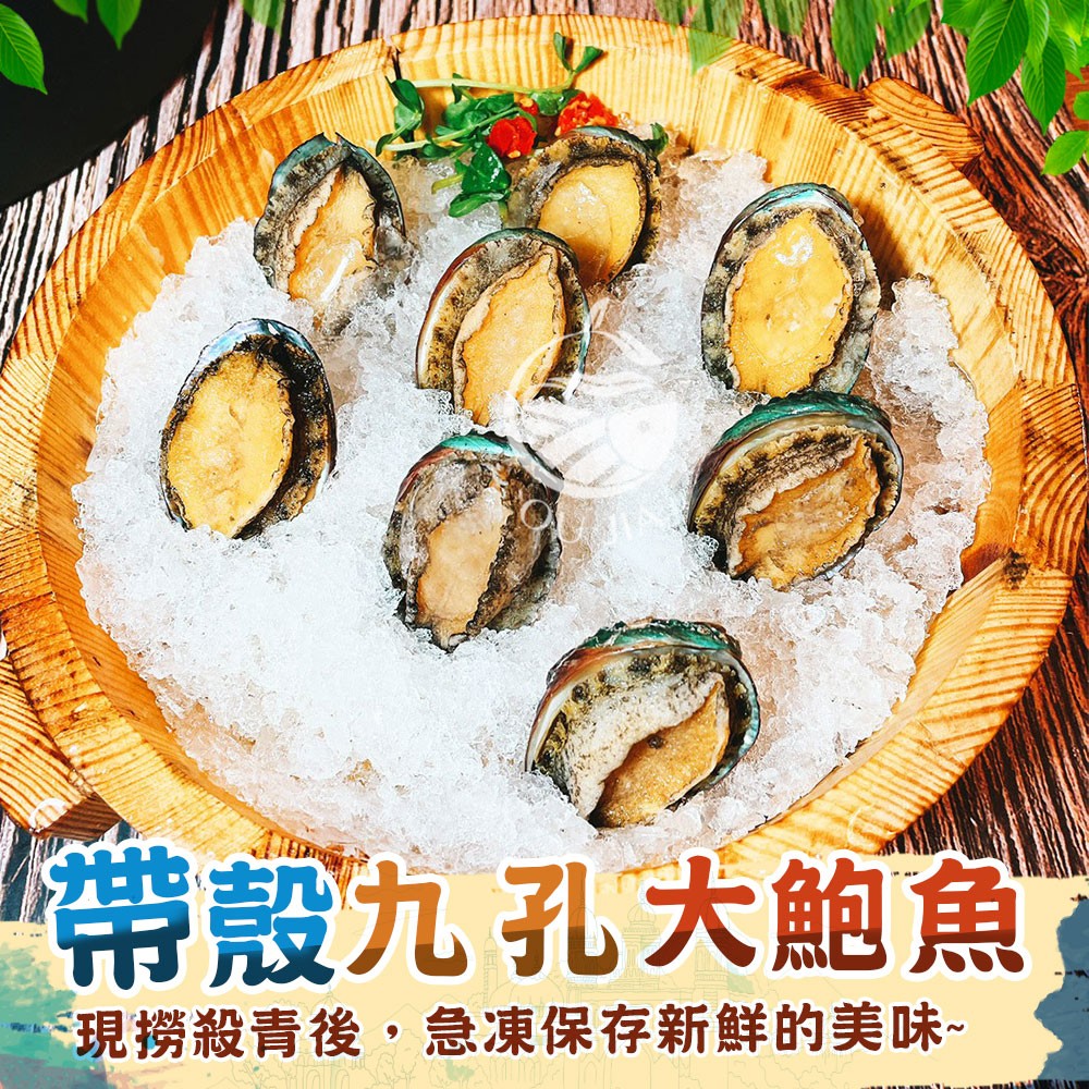 【歐嘉嚴選】帶殼九孔大鮑魚-1KG(18顆)-深海之冠