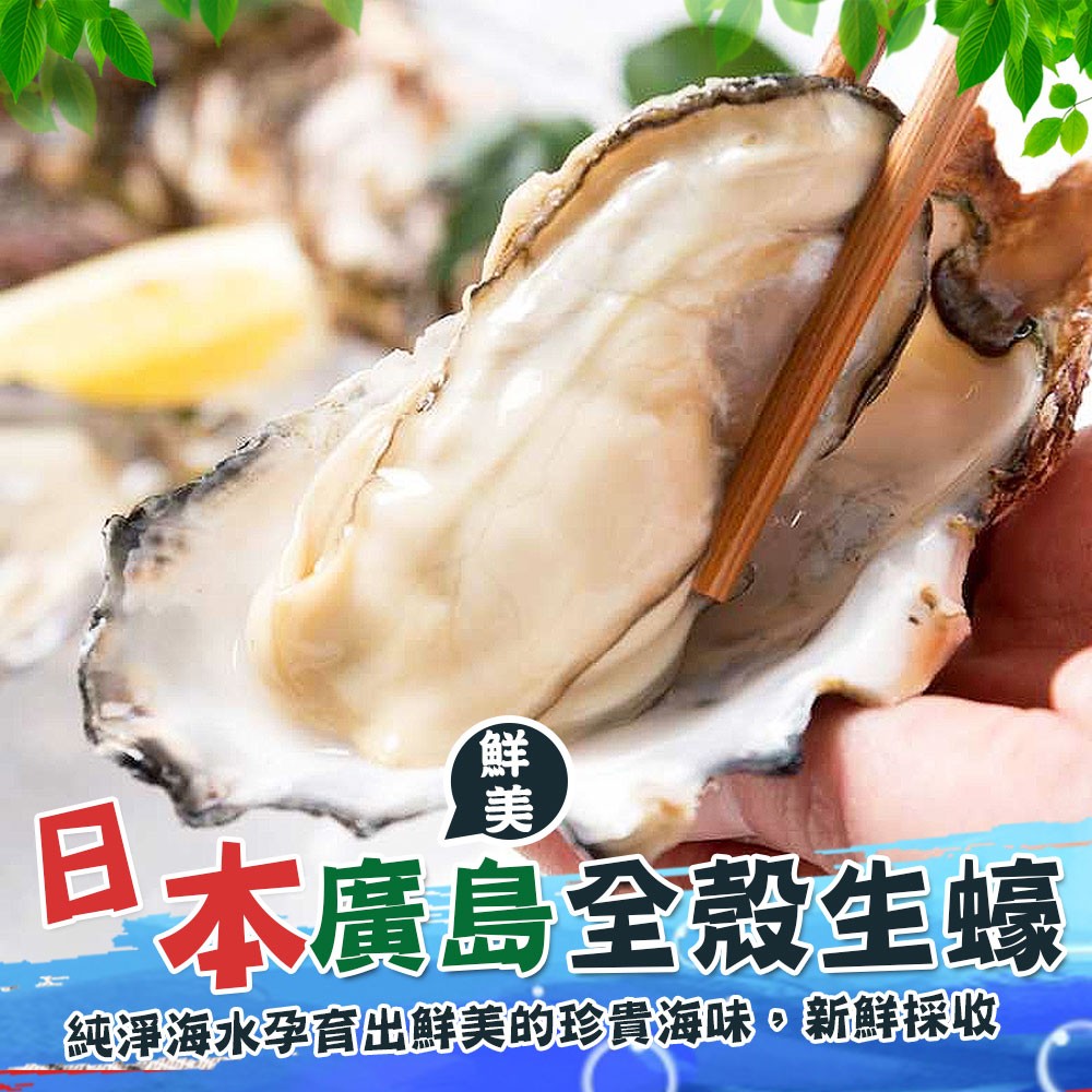 【歐嘉嚴選】日本頂級鮮活全殼生蠔-(約6~8粒/約1kg)