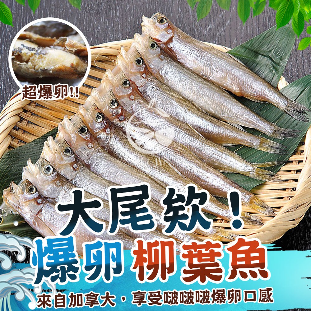 【歐嘉嚴選】大尾欸！加拿大爆卵柳葉魚-210G/包(約7~9尾)