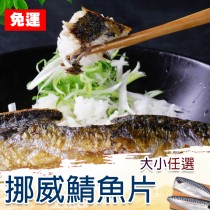 41元起-免運【歐嘉嚴選】挪威薄鹽鯖魚大小任選超值組