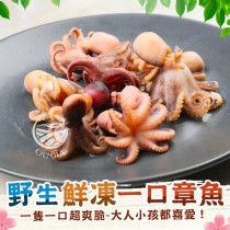 【歐嘉嚴選】野生鮮凍一口小章魚