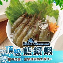 【歐嘉嚴選】頂級藍鑽蝦-1KG/盒 (41/50)